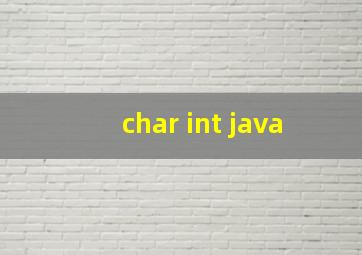 char int java